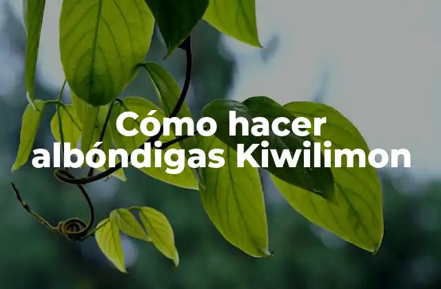 Cómo Hacer Albóndigas Kiwilimon