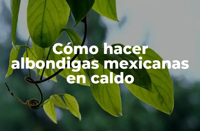 Cómo Hacer Albondigas Mexicanas en Caldo