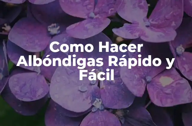 Como Hacer Albóndigas Rápido y Fácil