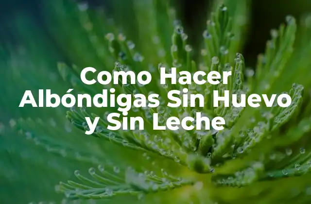 Como Hacer Albóndigas sin Huevo y sin Leche