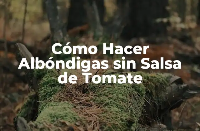 Cómo Hacer Albóndigas sin Salsa de Tomate