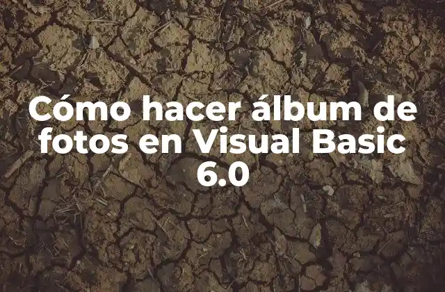 Cómo Hacer Álbum de Fotos en Visual Basic 6.0 2 ¿Qué es un álbum de fotos en Visual Basic 6.0?