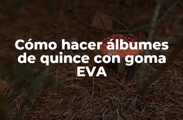 Cómo Hacer Álbumes de Quince con Goma Eva