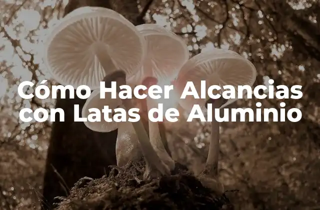 Cómo Hacer Alcancias con Latas de Aluminio