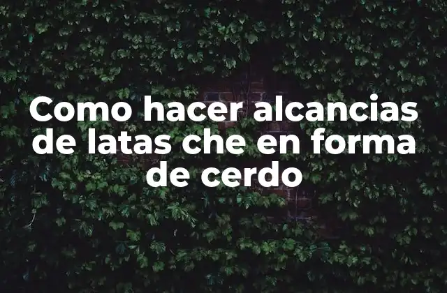 Como Hacer Alcancias de Latas Che en Forma de Cerdo