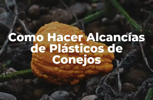 Como Hacer Alcancías de Plásticos de Conejos