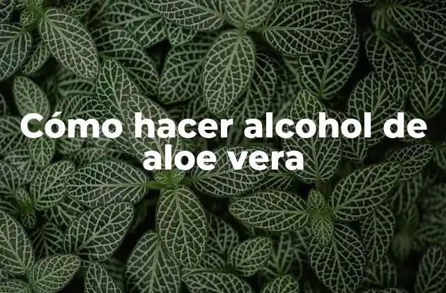 Cómo Hacer Alcohol de Aloe Vera