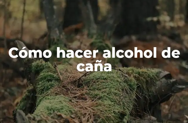 Cómo Hacer Alcohol de Caña