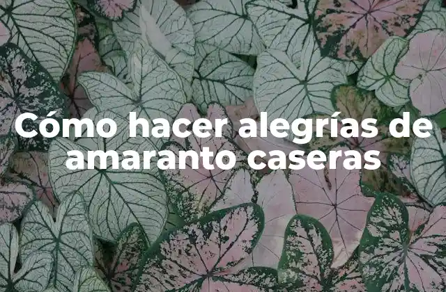 Cómo Hacer Alegrías de Amaranto Caseras