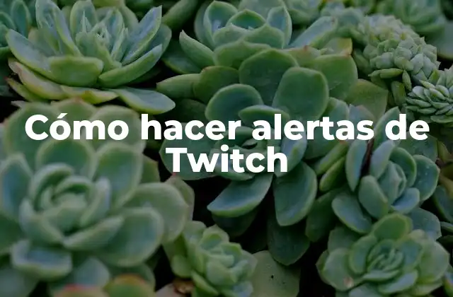 Cómo Hacer Alertas de Twitch
