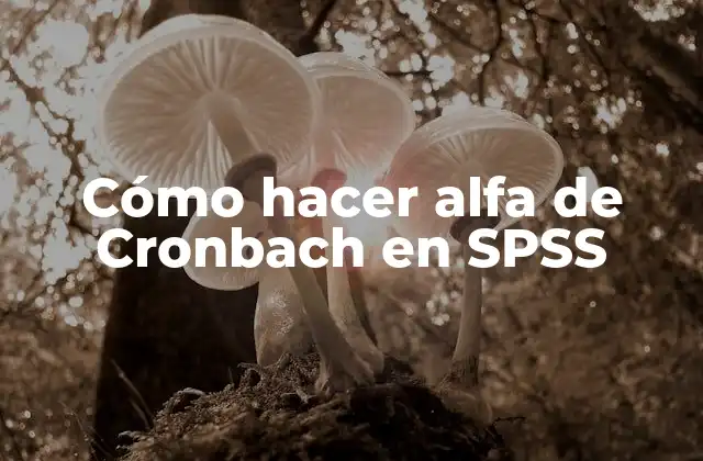 Cómo Hacer Alfa de Cronbach en Spss