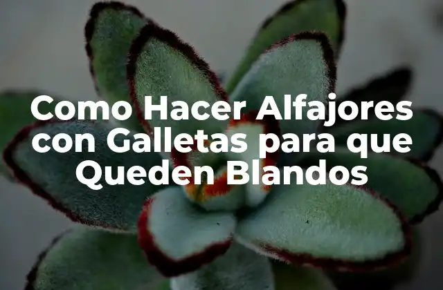 Como Hacer Alfajores con Galletas para que Queden Blandos
