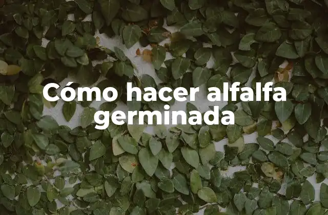 Qué es la alfalfa germinada y para qué sirve
