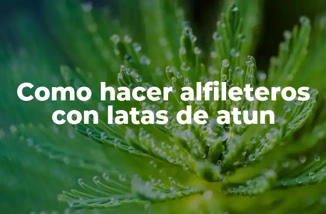 Como Hacer Alfileteros con Latas de Atun 16 Alfileteros con latas de atun: ¿Qué son y para qué sirven?