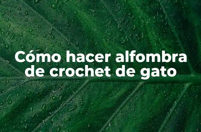 Cómo Hacer Alfombra de Crochet de Gato