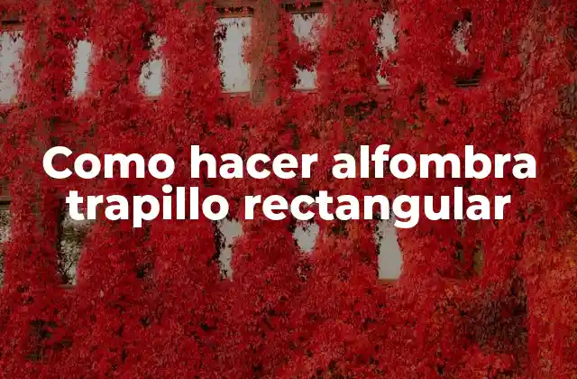 Como Hacer Alfombra Trapillo Rectangular