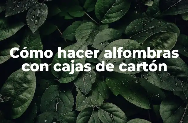 Cómo Hacer Alfombras con Cajas de Cartón