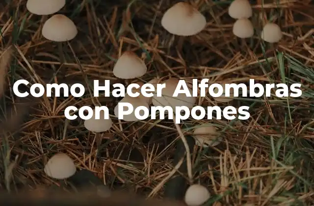 ¿Qué son las Alfombras con Pompones y para Qué Sirven?