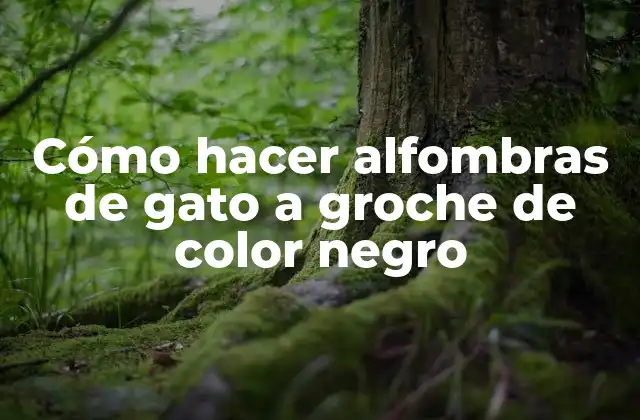 Cómo Hacer Alfombras de Gato a Groche de Color Negro