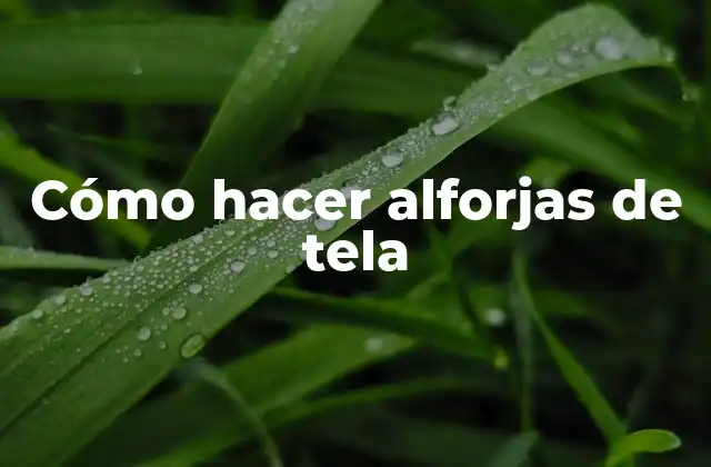 Cómo Hacer Alforjas de Tela