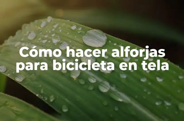 Cómo Hacer Alforjas para Bicicleta en Tela
