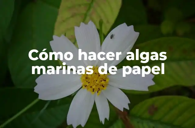Cómo Hacer Algas Marinas de Papel