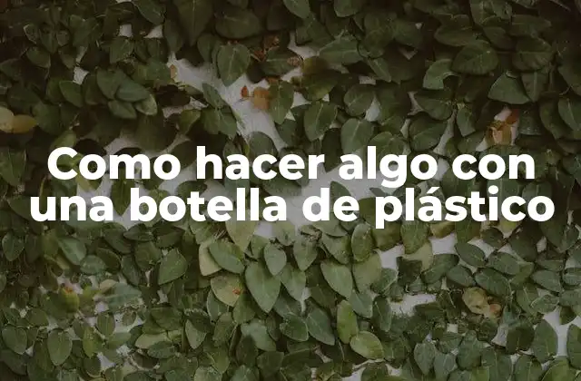 Como Hacer Algo con una Botella de Plástico