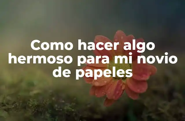 Como Hacer Algo Hermoso para Mi Novio de Papeles