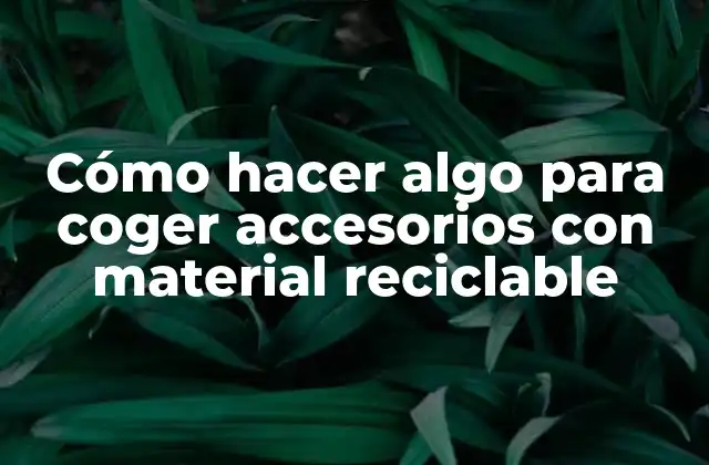 Cómo Hacer Algo para Coger Accesorios con Material Reciclable