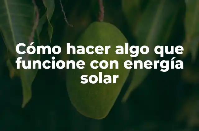Cómo Hacer Algo que Funcione con Energía Solar