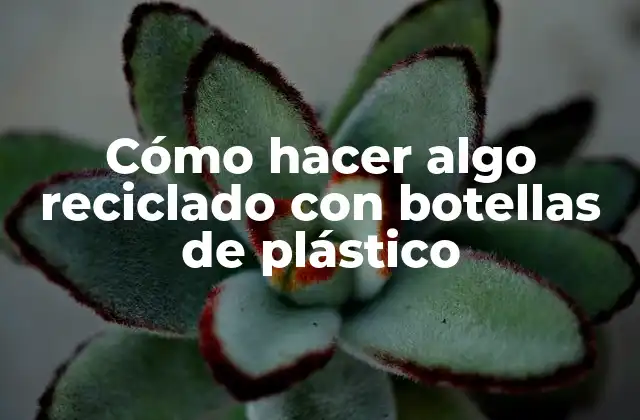 Cómo Hacer Algo Reciclado con Botellas de Plástico 2 Cómo hacer algo reciclado con botellas de plástico