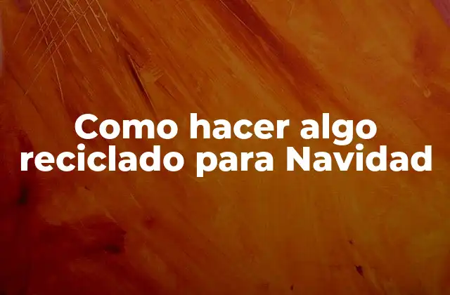 Como Hacer Algo Reciclado para Navidad