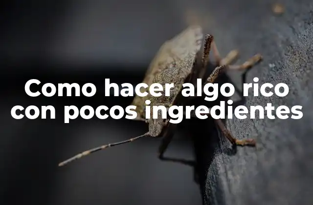Como Hacer Algo Rico con Pocos Ingredientes