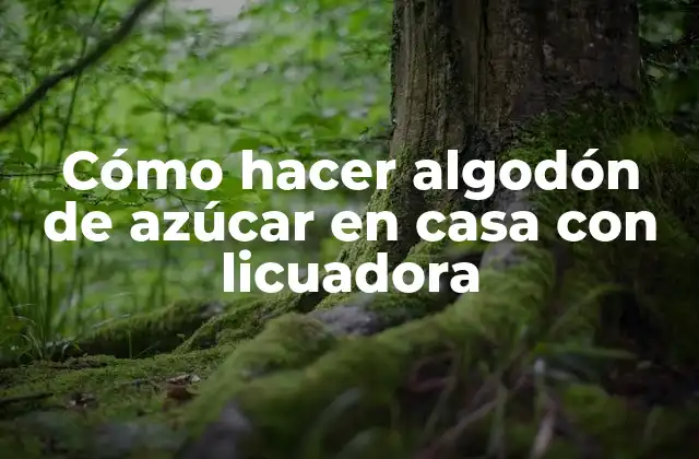 Cómo Hacer Algodón de Azúcar en Casa con Licuadora