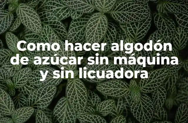 Como Hacer Algodón de Azúcar sin Máquina y sin Licuadora