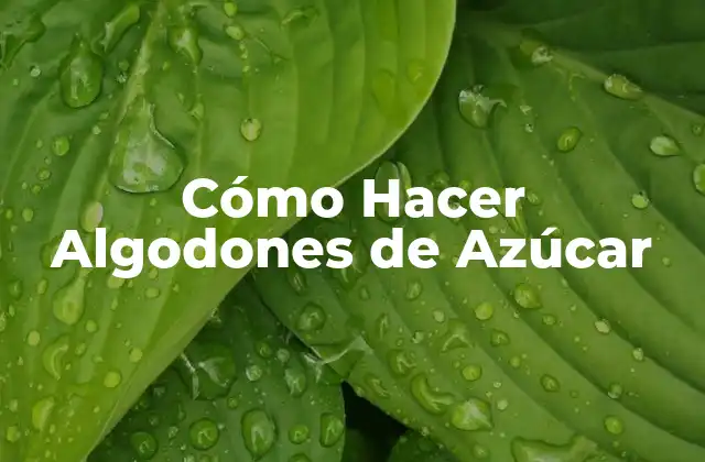Cómo Hacer Algodones de Azúcar