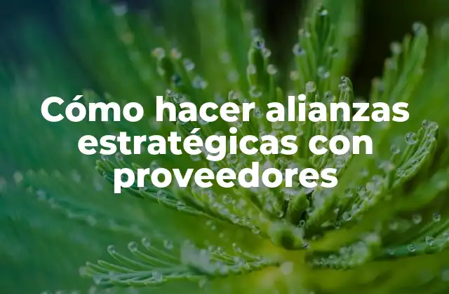 Cómo Hacer Alianzas Estratégicas con Proveedores