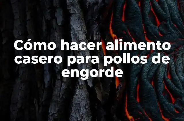 Alimento casero para pollos de engorde