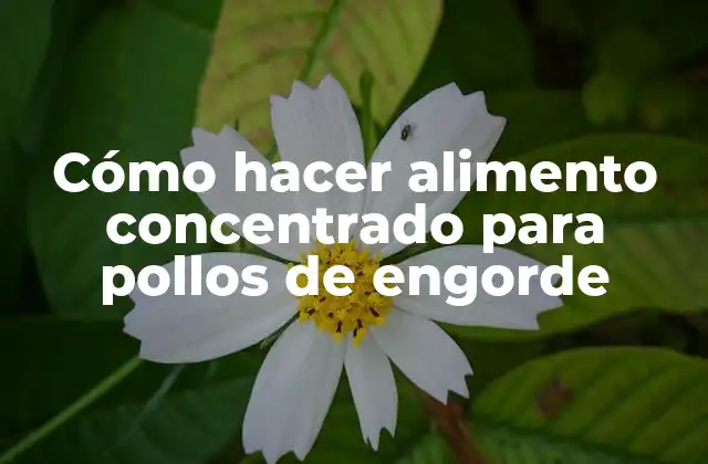 Cómo Hacer Alimento Concentrado para Pollos de Engorde