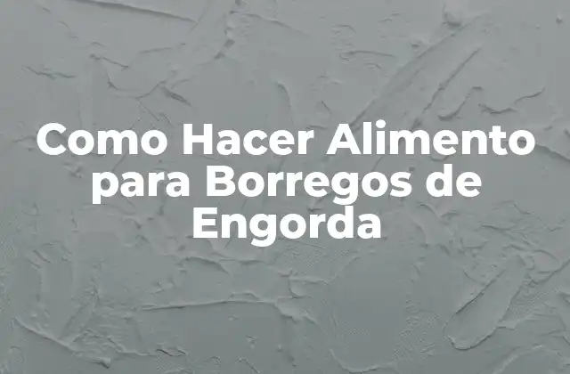 Alimento para Borregos de Engorda