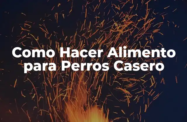 Como Hacer Alimento para Perros Casero 2 Alimento para Perros Casero: ¿Qué es y para qué sirve?