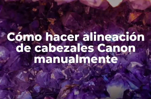 Cómo Hacer Alineación de Cabezales Canon Manualmente