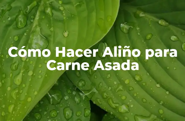 Cómo Hacer Aliño para Carne Asada 2 Cómo Hacer Aliño para Carne Asada