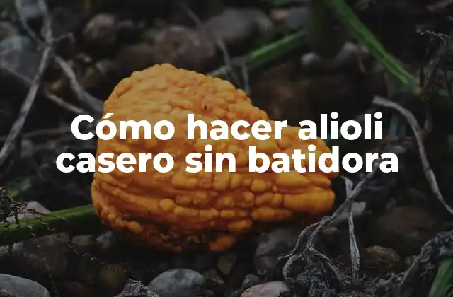 Cómo Hacer Alioli Casero sin Batidora