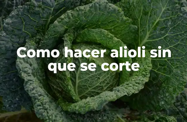 Como Hacer Alioli sin que Se Corte 2 ¿Qué es el alioli y para qué sirve?