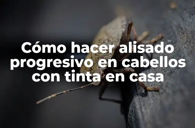 Cómo Hacer Alisado Progresivo en Cabellos con Tinta en Casa