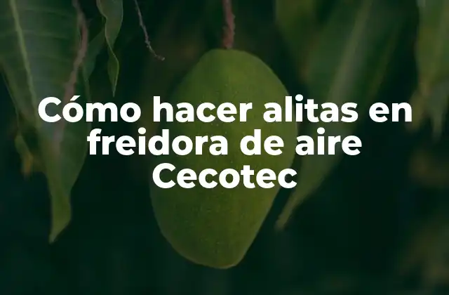 Cómo Hacer Alitas en Freidora de Aire Cecotec 2 Cómo hacer alitas en freidora de aire Cecotec