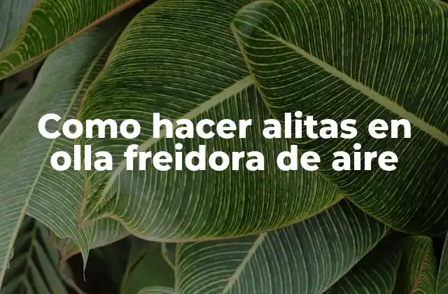 Como Hacer Alitas en Olla Freidora de Aire