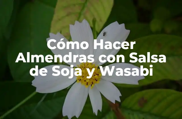Almendras con Salsa de Soja y Wasabi: ¿Qué son y para qué sirven?