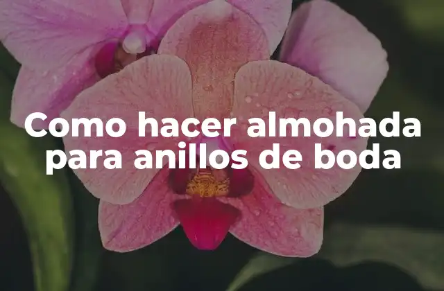 Como Hacer Almohada para Anillos de Boda